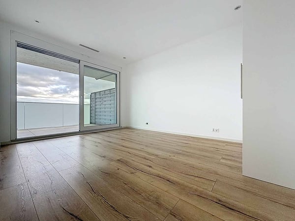 Duplex de 7.5 pièces avec sous-sol, jardin et vue sur le lac 4