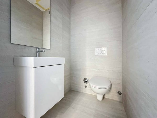 Spacieux 5.5 pièces traversant avec 2 balcons 8