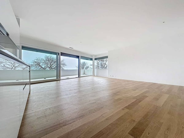 Spacieux 5.5 pièces traversant avec 2 balcons 3