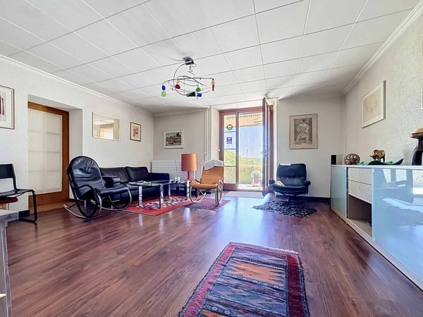 Maison de 6.5 pièces avec potentiel de construction 2