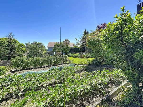 Maison de 6.5 pièces avec potentiel de construction 13