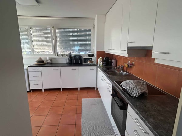Magnifique appartement de 5.5 pcs au 2ème étage avec vue sur le lac 2