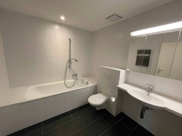 Magnifique loft lumineux de 88 m2 à Lausanne - Quartier sous-gare 7