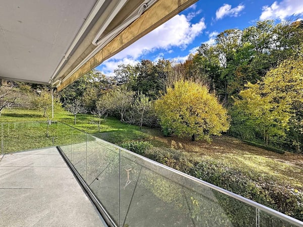 Spacieux et Lumineux 1.5 p avec grand balcon 3