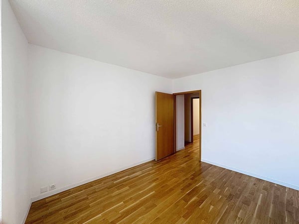 1 pièces de 78 m2 + 2 balcons - Superbe vue sur le Lac 8