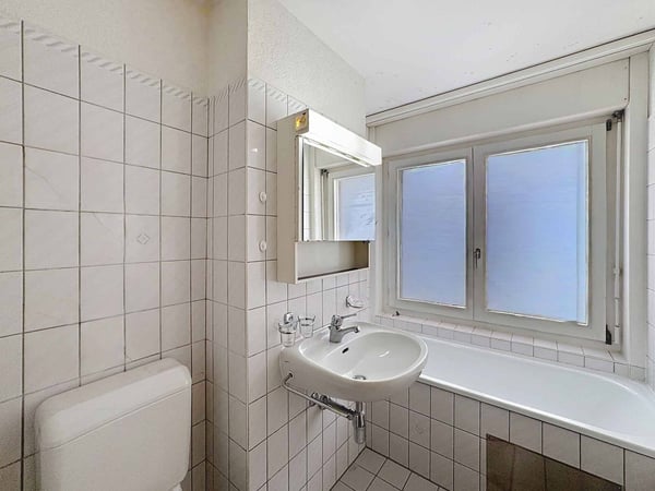 Grand 1.5 pièces sur 1 niveau de 16 m2 + balcon et terrasse 12