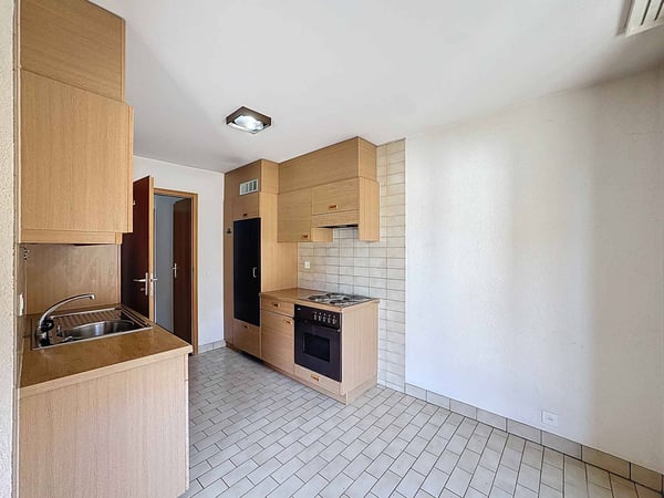 Grand 1.5 pièces sur 1 niveau de 16 m2 + balcon et terrasse 7