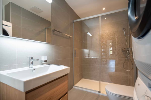 Dernier étage - Spacieux 1.5 pces 99 m2 + combles dans un immeuble ancien rénové 6