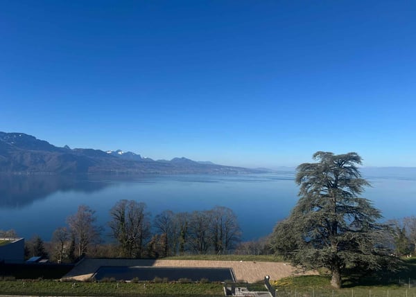 Véritable petit bijou de 2.5 p avec grand balcon et vue époustouflante sur le Lac 3
