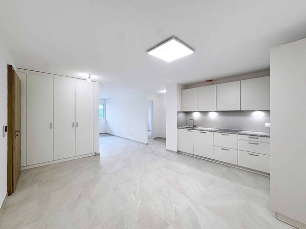 TRES GRAND 2.5 PCES NEUF DE 59 m2 1