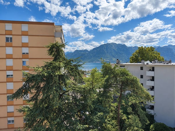 Superbe 5.5 pièces de 132 m2 int. totalement rénové avec grand balcon 4