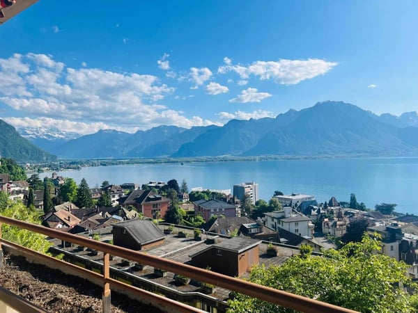 Grand appartement de 1.5 pièces avec vue panoramique 3