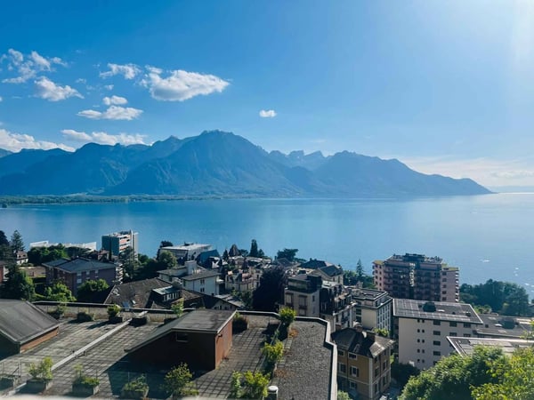 Grand appartement de 1.5 pièces avec vue panoramique 6
