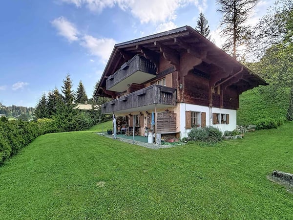 Grand chalet de 3 appartements avec vue panoramique 1