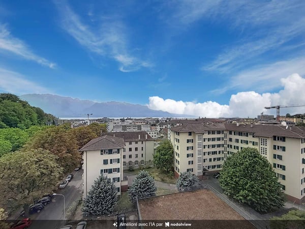 Lumineux 4,5 pièces avec vue panoramique 1