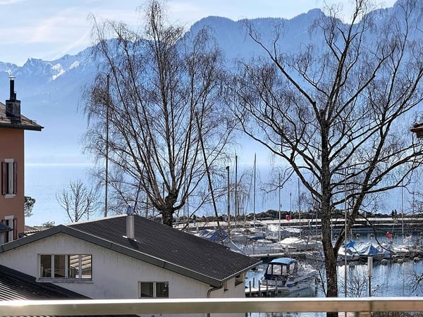 Appartement lumineux proche du Lac 1