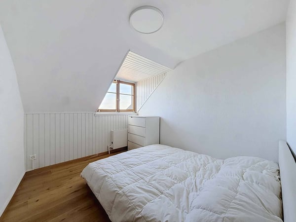 UN APPARTEMENT DE CHARME SUR LES HAUTEURS DE MONTREUX 7