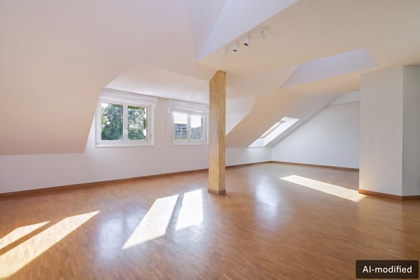 Appartement au dernier étage avec rooftop au Petit-Saconnex 2