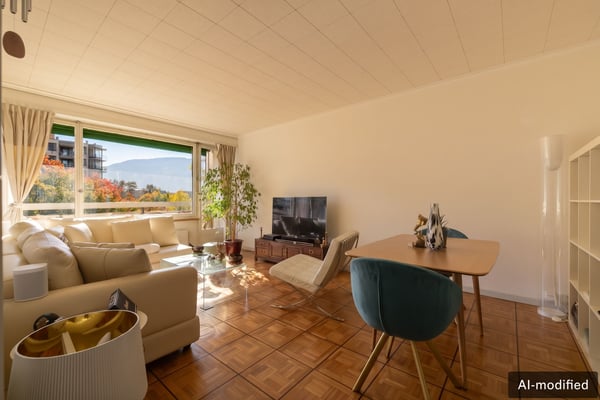 Appartement lumineux avec vue sur le Salève au coeur de Champel 1