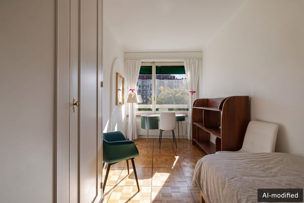 Appartement lumineux avec vue sur le Salève au coeur de Champel 7