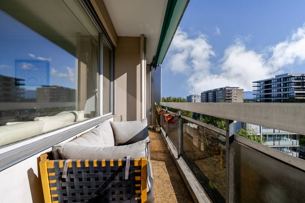 Appartement lumineux avec vue sur le Salève au coeur de Champel 5