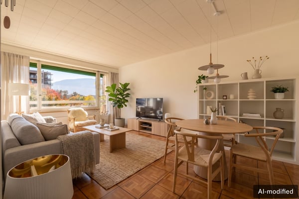 Appartement lumineux avec vue sur le Salève au coeur de Champel 1