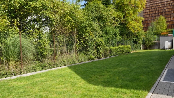 Villa cosy à Pregny-Chambésy 2