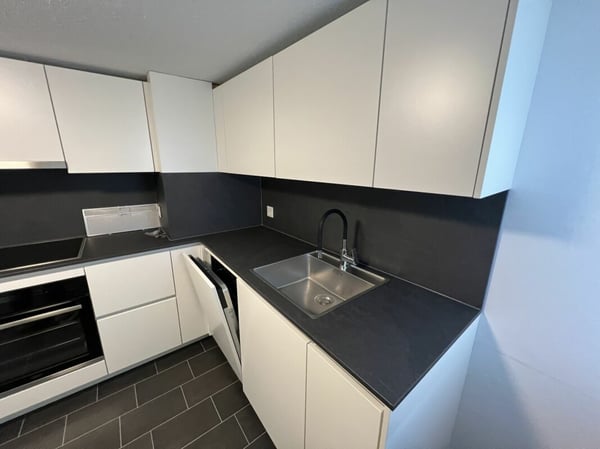 Zweifamilienhaus im steuergünstigen Horn 3