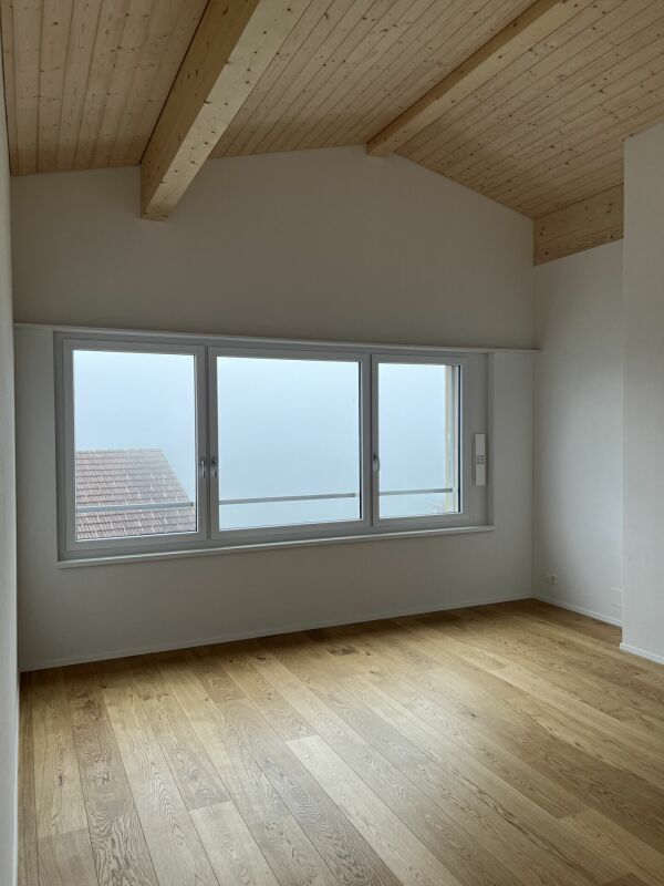 Luxusdachwohnung mit traumhafter Aussicht