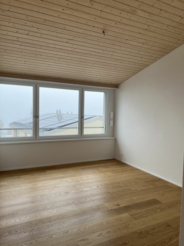 Luxusdachwohnung mit traumhafter Aussicht