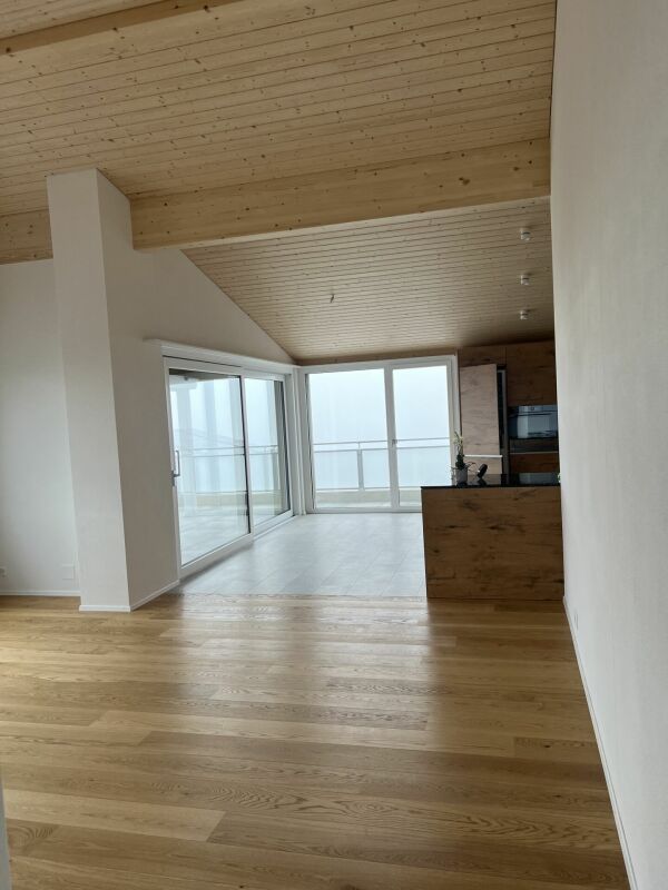 Luxusdachwohnung mit traumhafter Aussicht