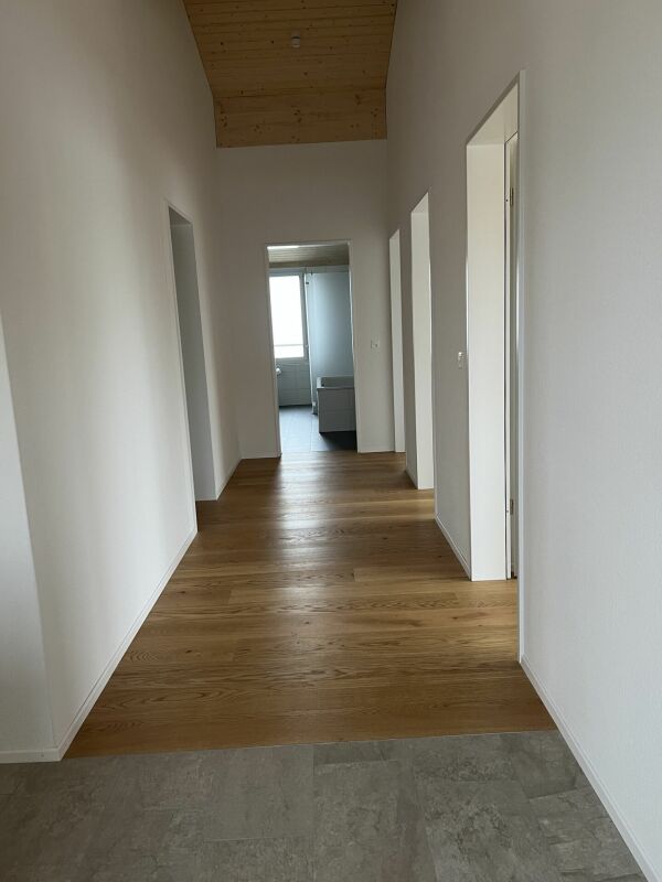Luxusdachwohnung mit traumhafter Aussicht