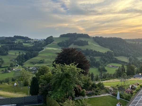 Luxusdachwohnung mit traumhafter Aussicht 4