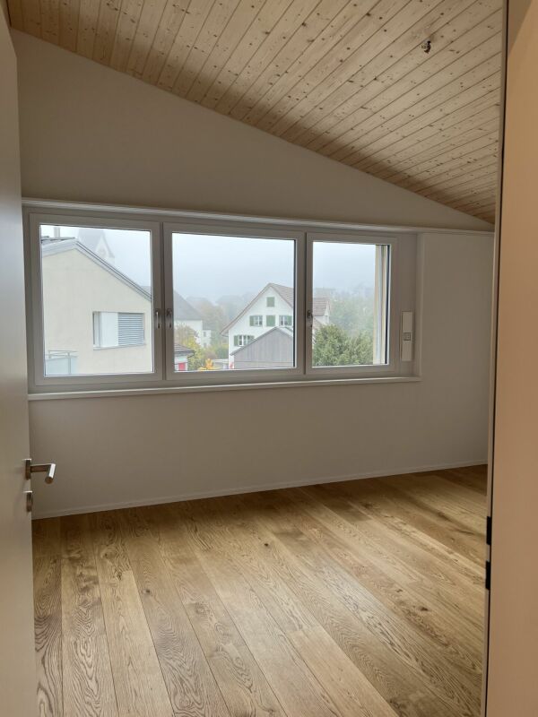 Luxusdachwohnung mit traumhafter Aussicht