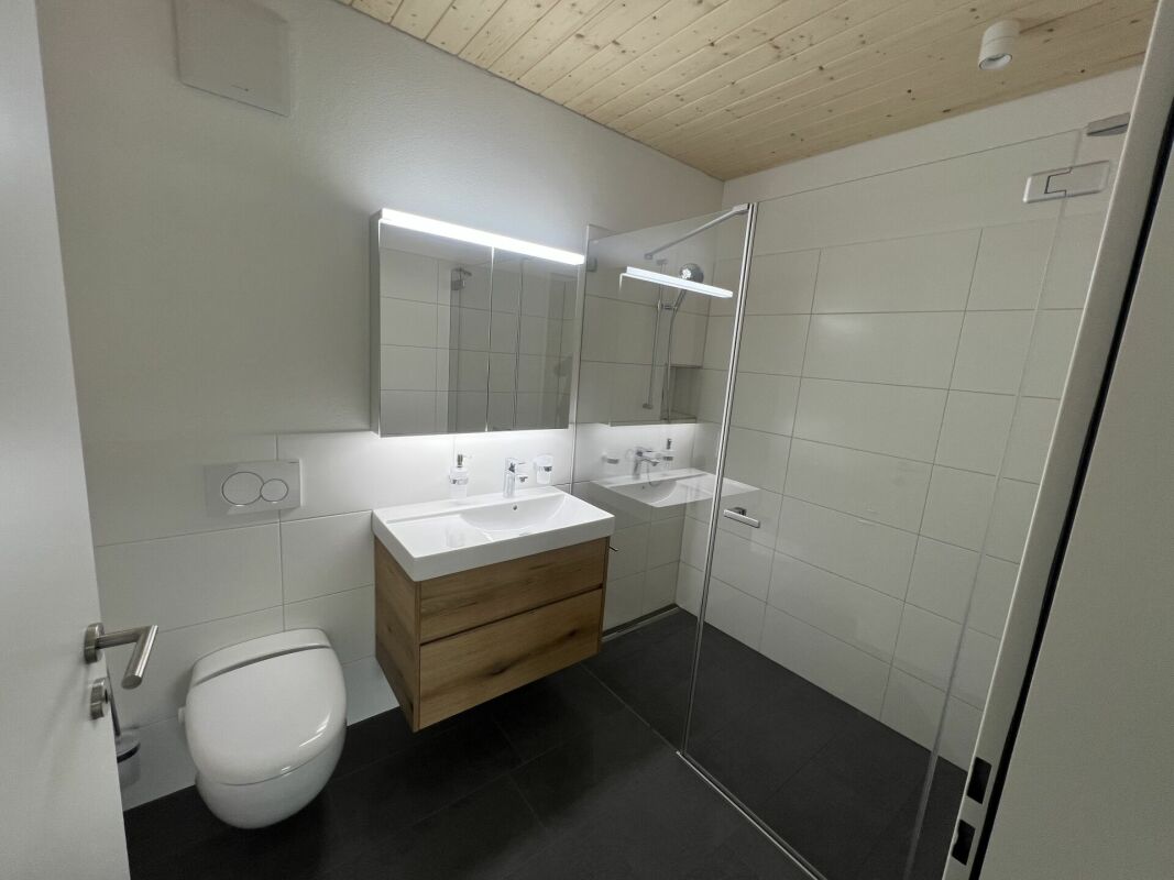 Luxusdachwohnung mit traumhafter Aussicht