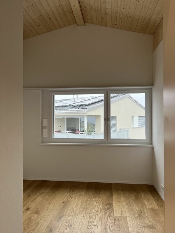 Luxusdachwohnung mit traumhafter Aussicht
