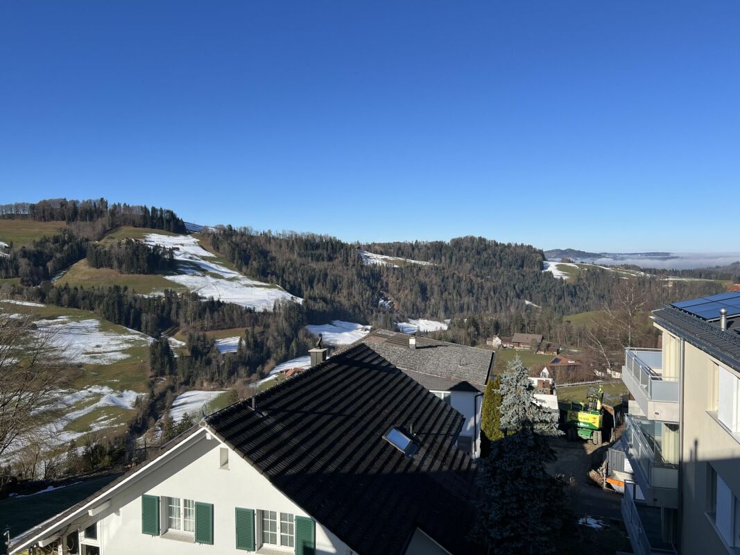 Luxusdachwohnung mit traumhafter Aussicht