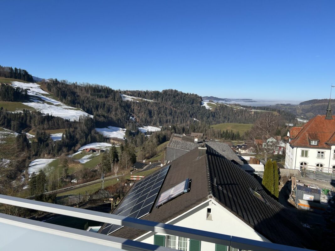 Luxusdachwohnung mit traumhafter Aussicht