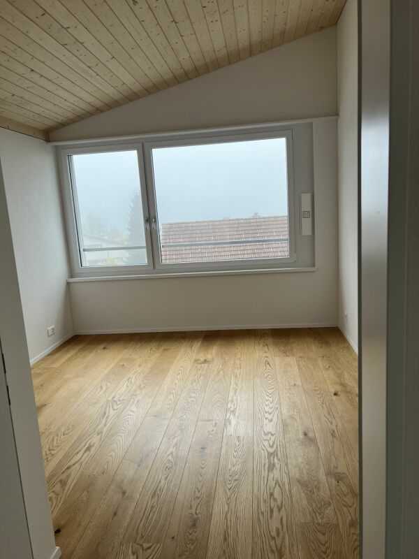 Luxusdachwohnung mit traumhafter Aussicht