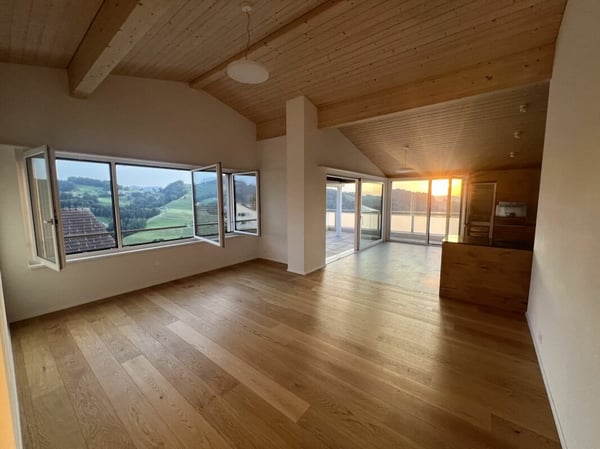 Luxusdachwohnung mit traumhafter Aussicht