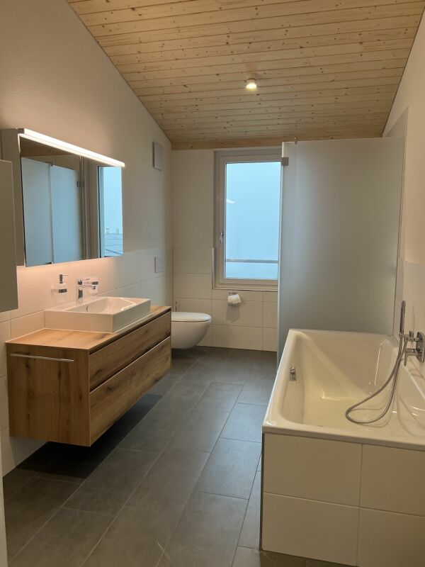 Luxusdachwohnung mit traumhafter Aussicht
