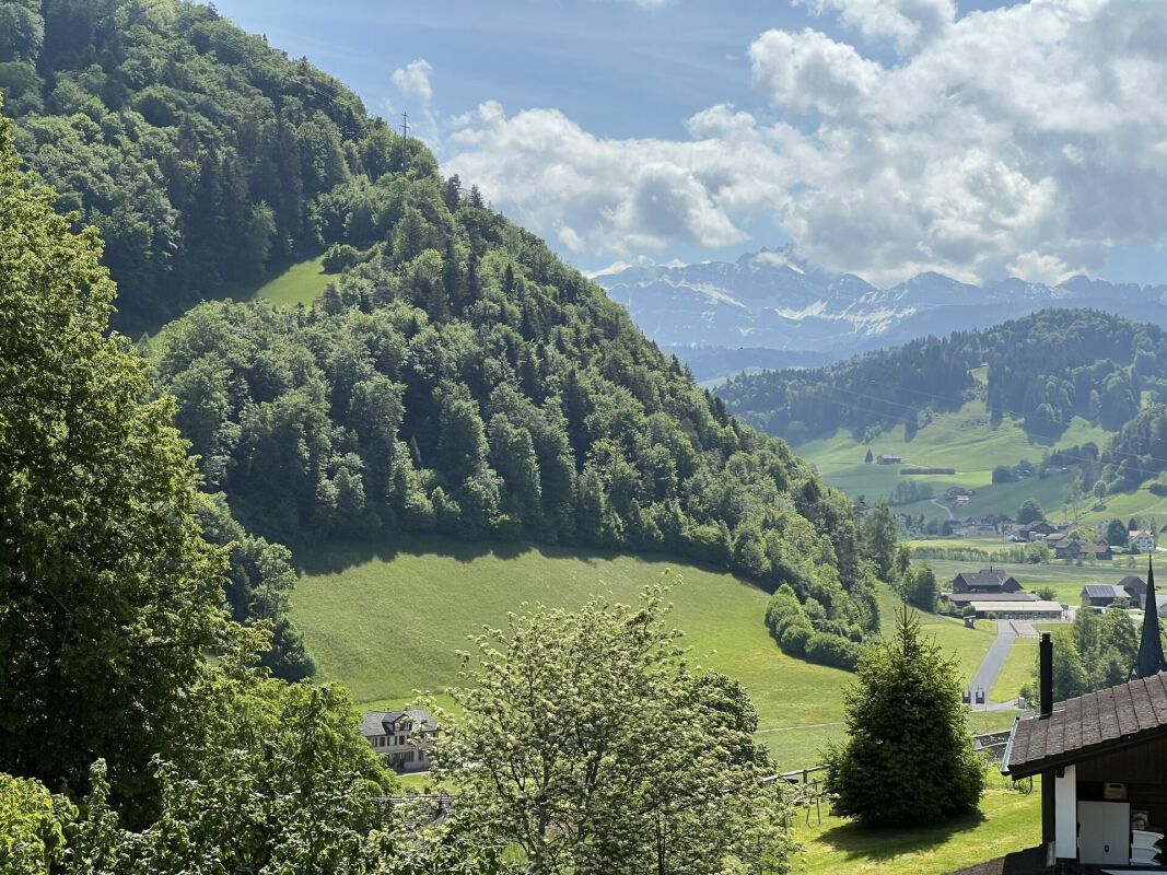 Einfamilienhaus mit Säntisblick