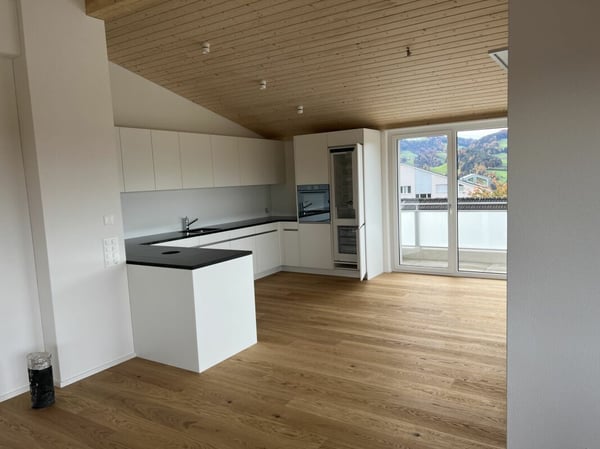Moderne Dachwohnung mit Weitsicht C4.1 12