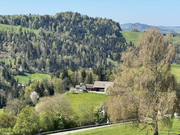 Weitblick Sonnmatt: Wg. A 4.1- mit Homeoffice! 41