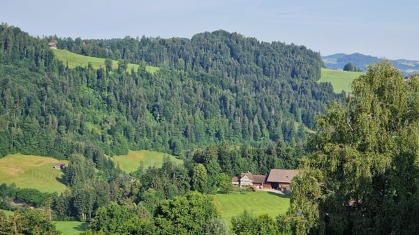 Weitblick Sonnmatt: Wg. A 4.1- mit Homeoffice! 23