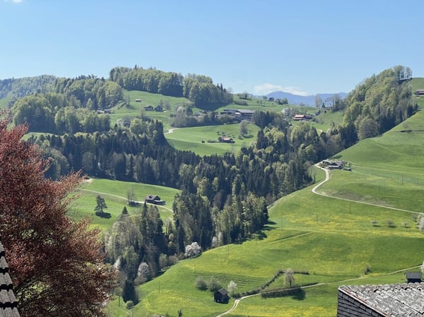 Schöne Aussicht und Homeoffice: Wg. A3.1 3