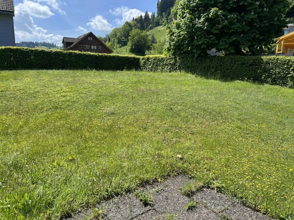 Einfamilienhaus mit Säntisblick 15