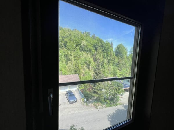 Einfamilienhaus mit Säntisblick 69