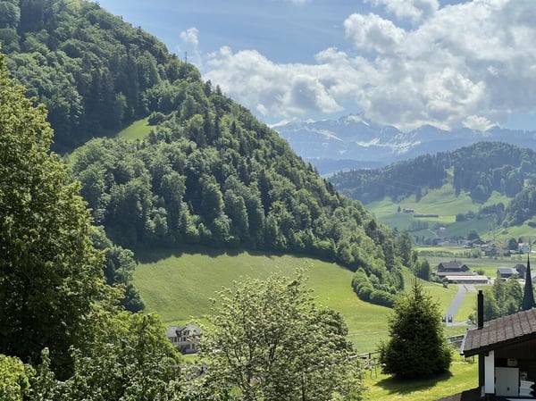 Einfamilienhaus mit Säntisblick 12