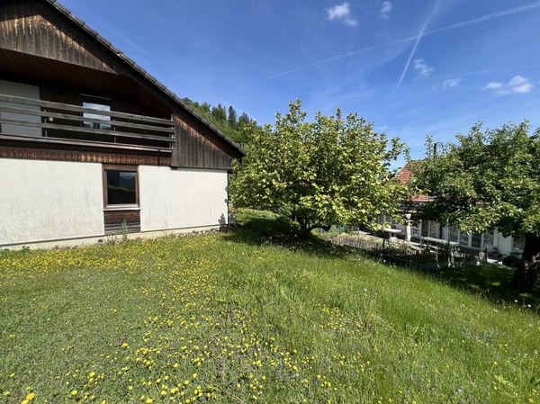 Einfamilienhaus mit Säntisblick 24